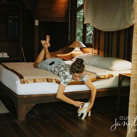 فندق Our Jungle House Khao Sok National Park المظهر الخارجي الصورة
