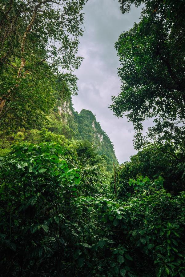 فندق Our Jungle House Khao Sok National Park المظهر الخارجي الصورة