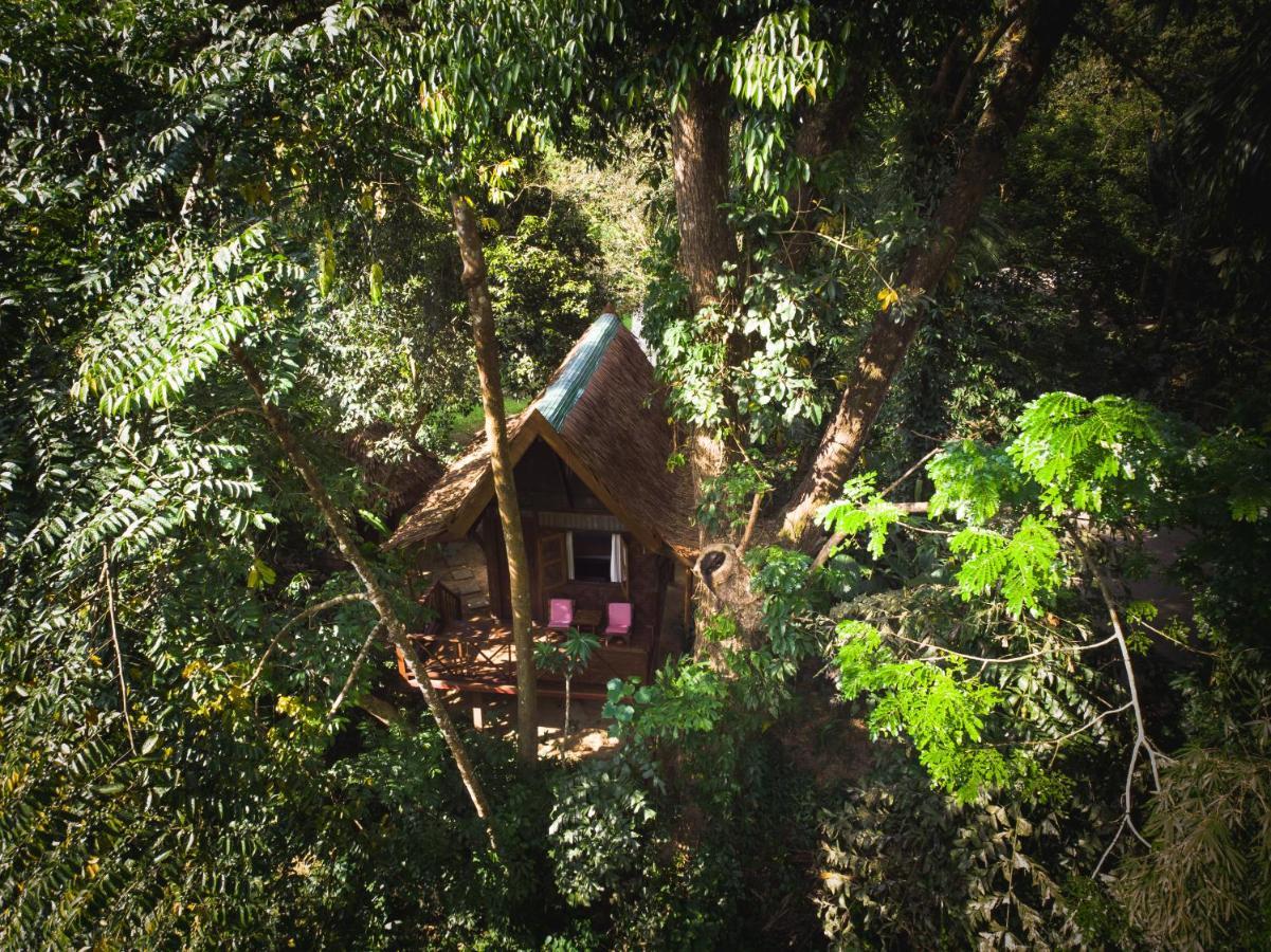 فندق Our Jungle House Khao Sok National Park المظهر الخارجي الصورة
