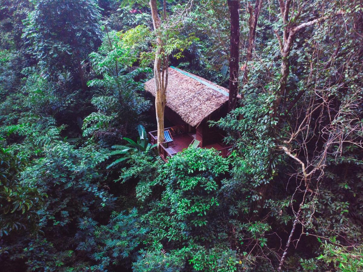 فندق Our Jungle House Khao Sok National Park المظهر الخارجي الصورة