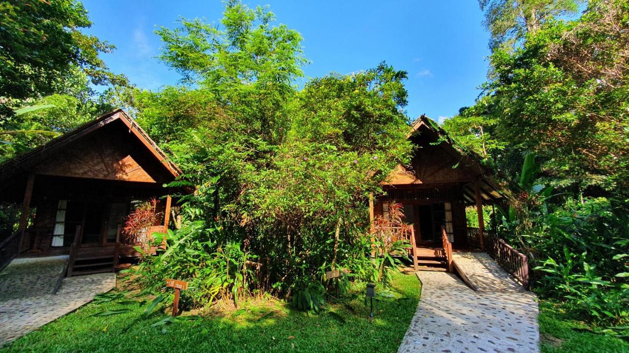 فندق Our Jungle House Khao Sok National Park المظهر الخارجي الصورة