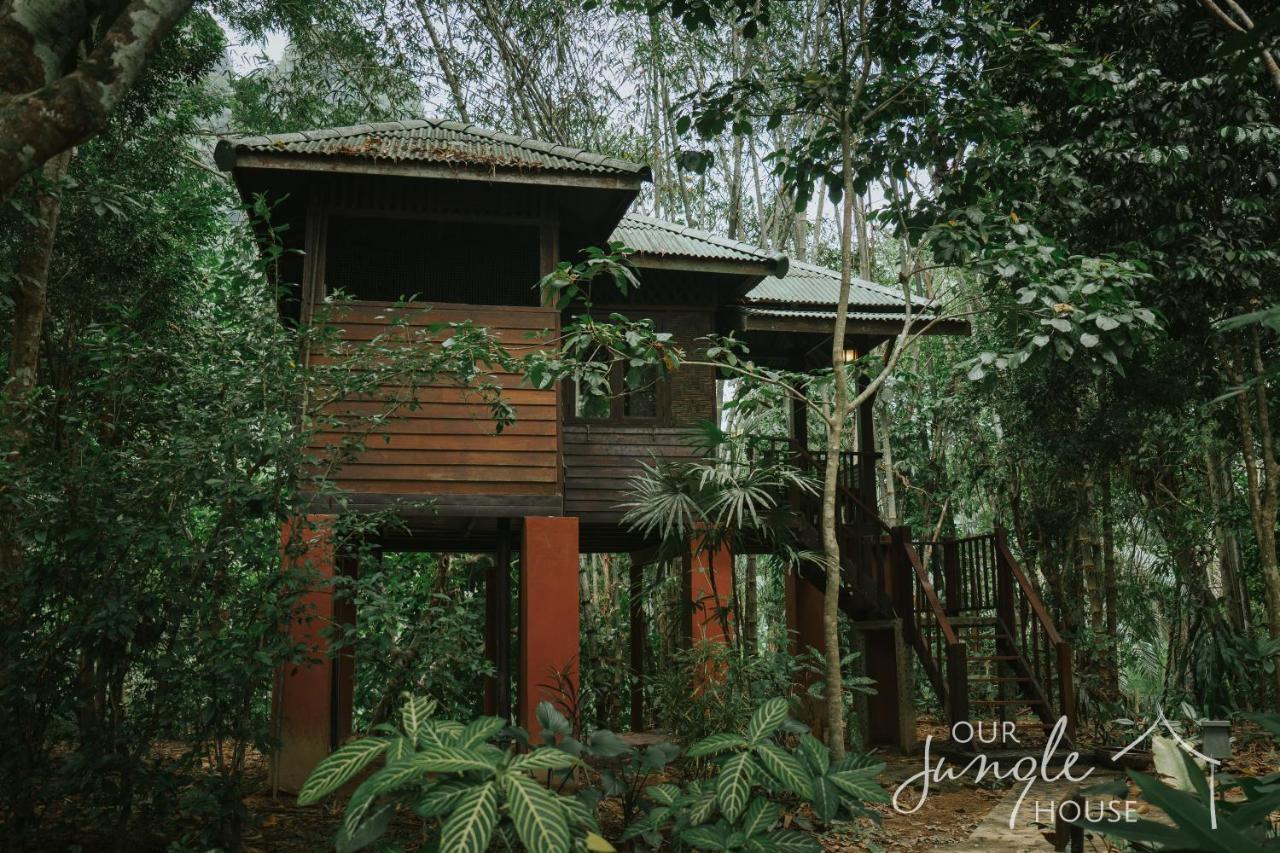 فندق Our Jungle House Khao Sok National Park المظهر الخارجي الصورة