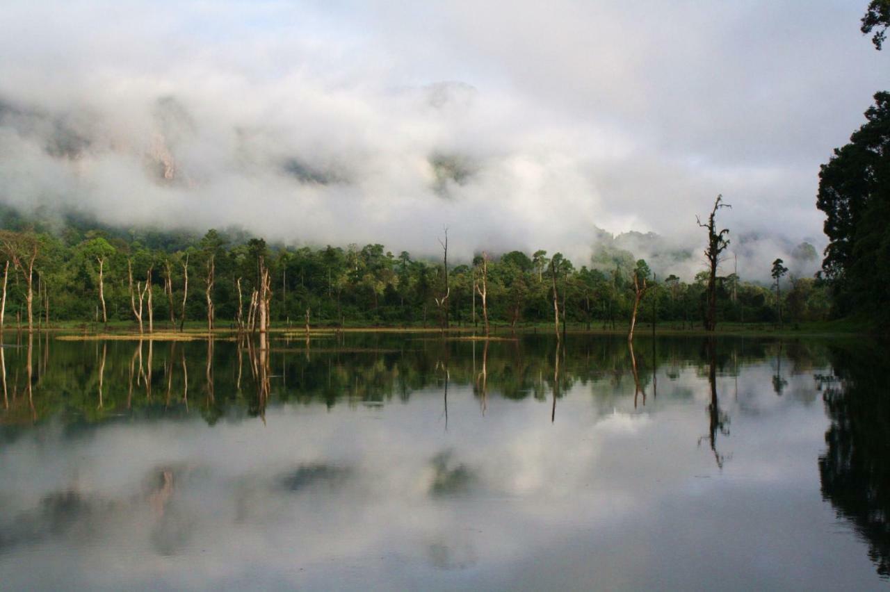 فندق Our Jungle House Khao Sok National Park المظهر الخارجي الصورة
