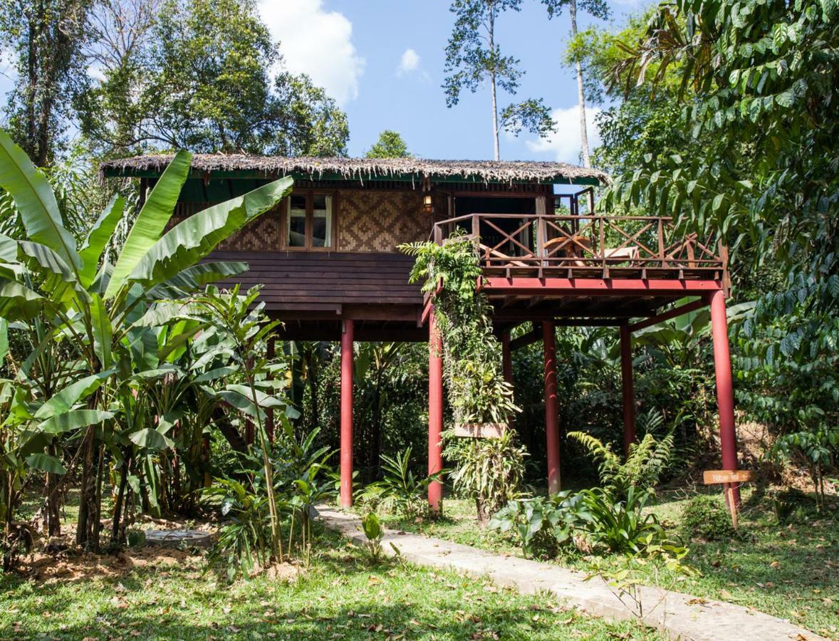 فندق Our Jungle House Khao Sok National Park المظهر الخارجي الصورة